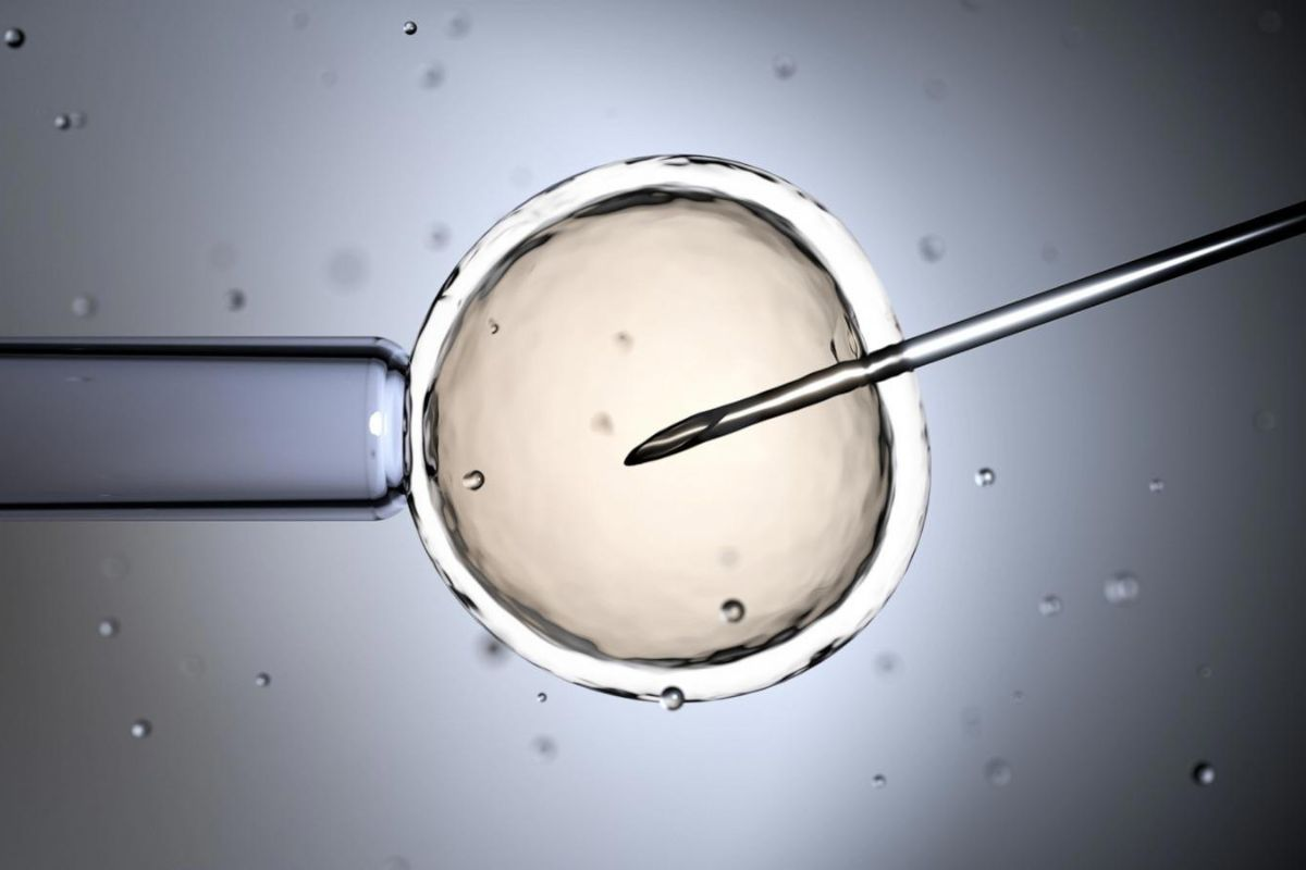 Failed Embryo Transfer in Surrogacy