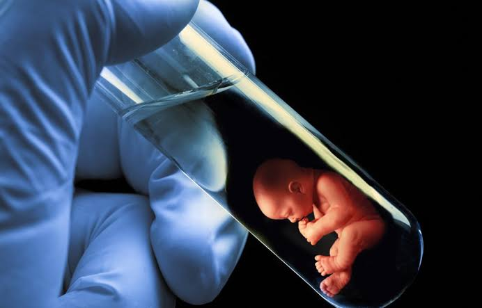 What Happens During an Embryo Transfer? A Surrogate’s Guide