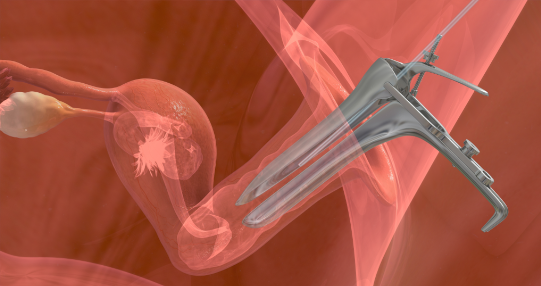 What Happens During an Embryo Transfer? A Surrogate’s Guide